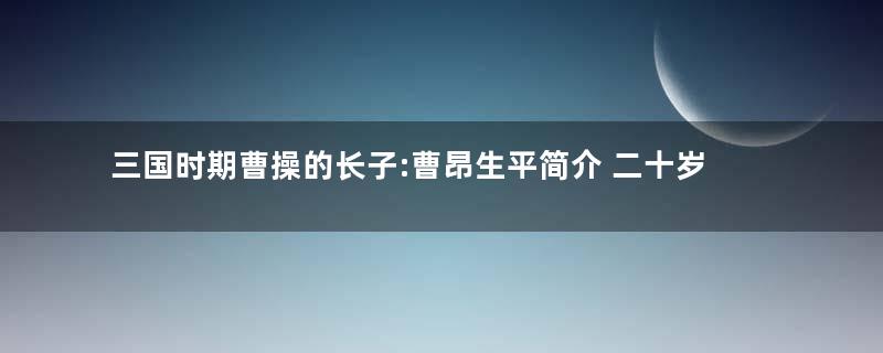 三国时期曹操的长子:曹昂生平简介 二十岁时被举为孝廉